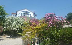 Oleander Apartment In Pakostane